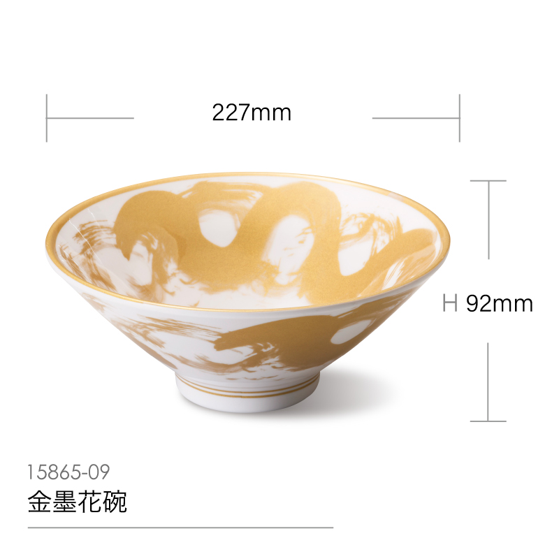 15865-09GD